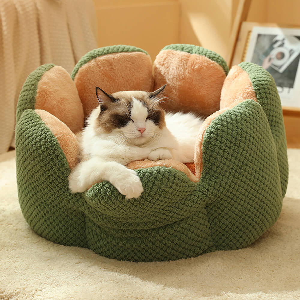 Cactus-Shaped Superidag Premium Pet Bed for Ultimate Comfort