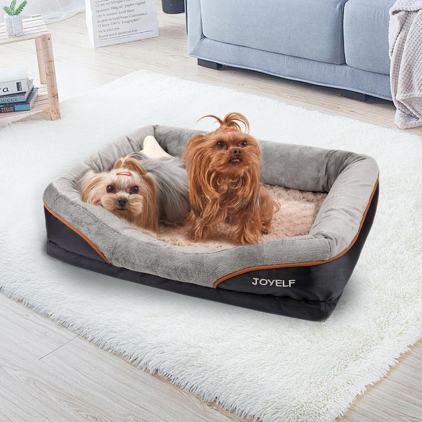 Premium Orthopedic Large Memory Foam Dog Bed with Removable Washable Cover and Complimentary Squeaker Toy