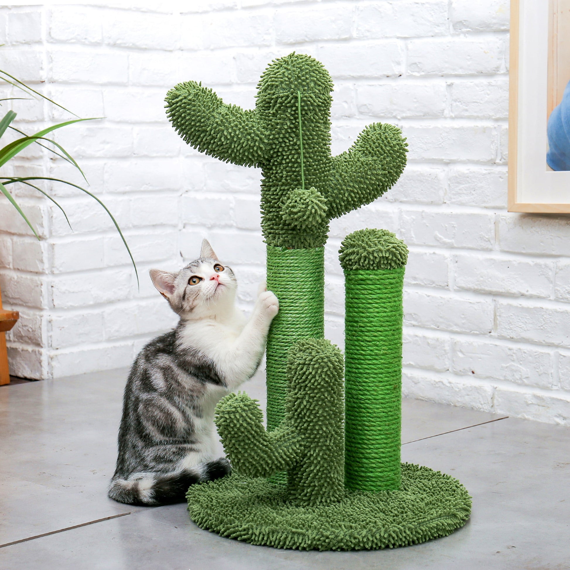 23" Medium Sisal Cat Scratcher with Cactus Design in Green