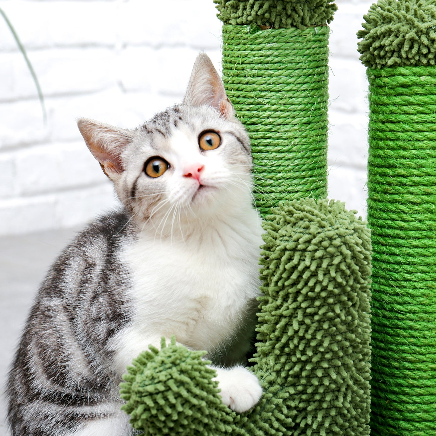 23" Medium Sisal Cat Scratcher with Cactus Design in Green