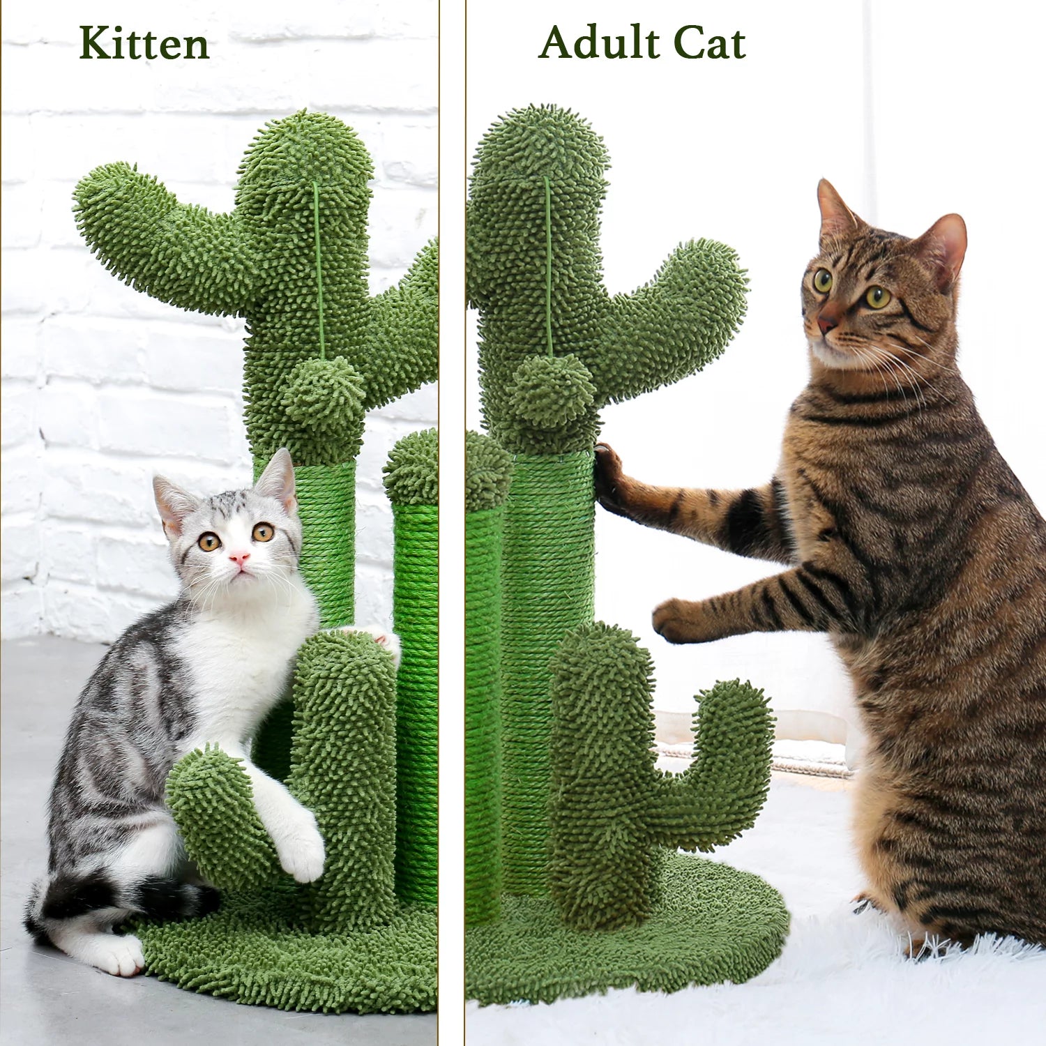 23" Medium Sisal Cat Scratcher with Cactus Design in Green